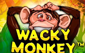 Wacky Monkey